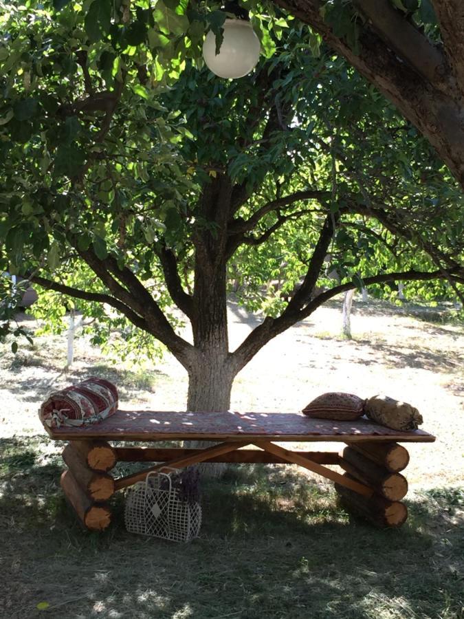 Apple Tree Family Home Dzorakap Luaran gambar